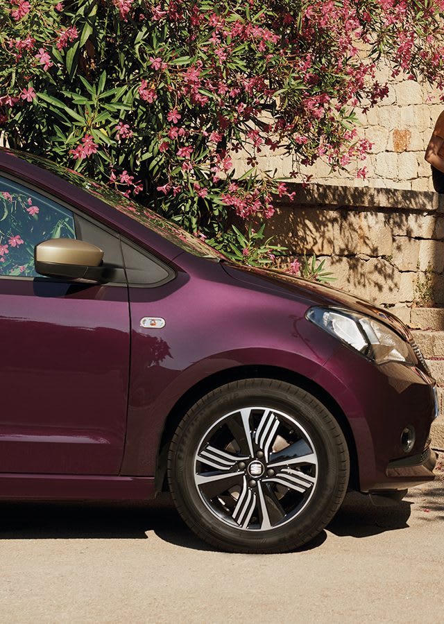 SEAT Mii shopping car