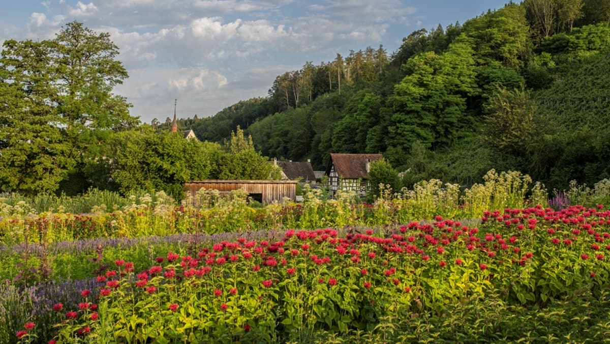 Blühende Gärten 2021