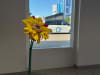 IMG-20250710-WA0012