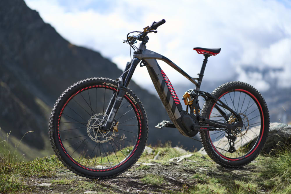 Audi mountain bike sale