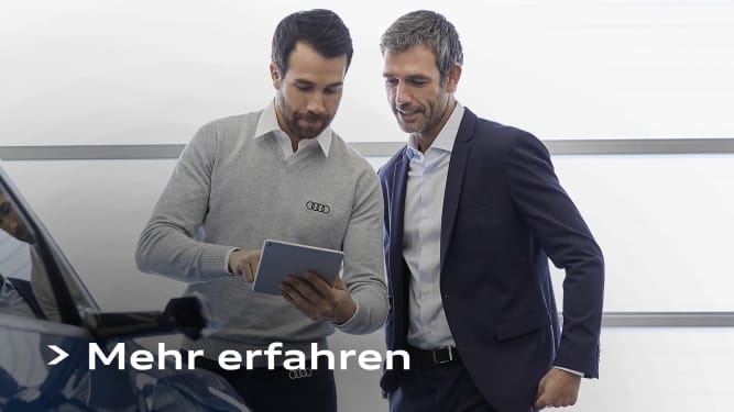 ferien check audi