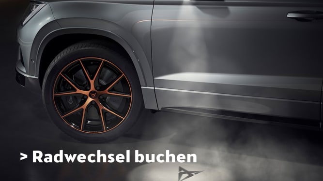 AMAG_AS_1600x900_Cupra_Rad_DE